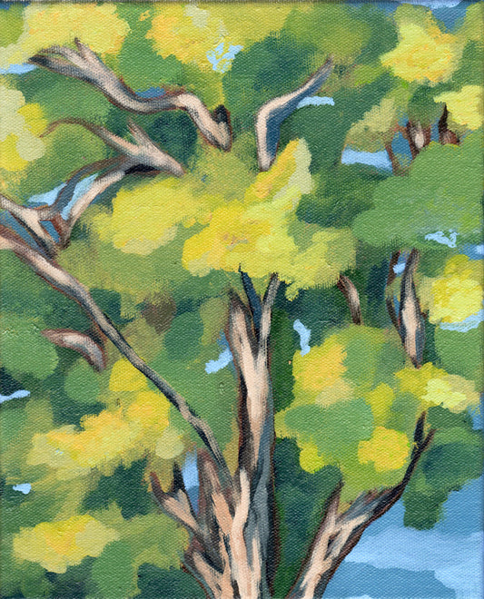 Salem Tree Print